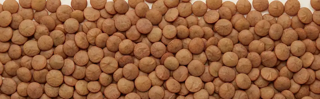 Brown Lentils